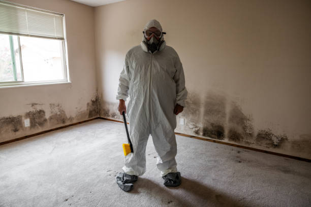 Reliable Cambridge, WI Mold Remediation Solutions